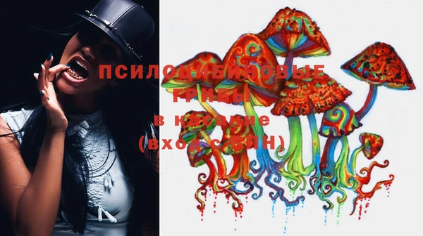 MDMA Медногорск