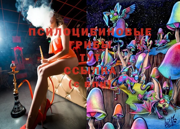 скорость Медвежьегорск