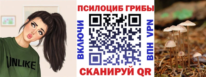 Купить где  Ачхой-Мартан  Псилоцибиновые грибы мицелий 